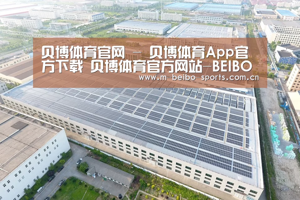 案例展示二