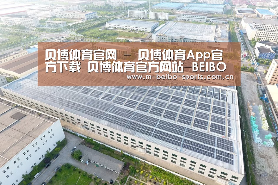 案例展示一