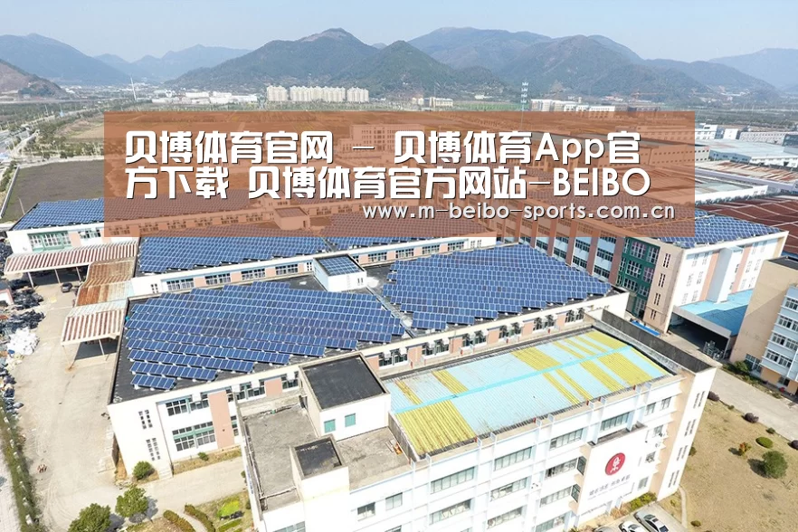 案例展示二