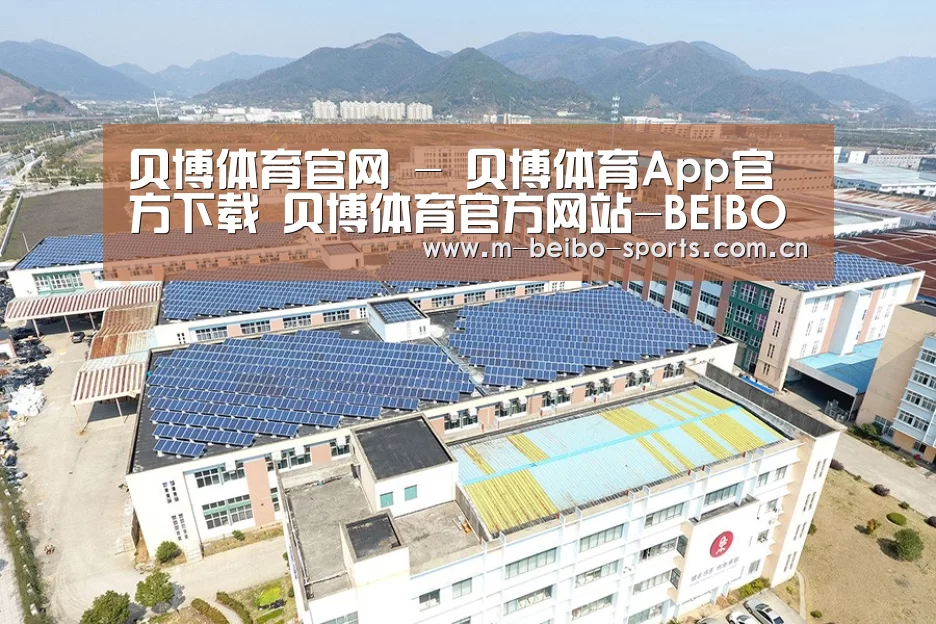 案例展示一