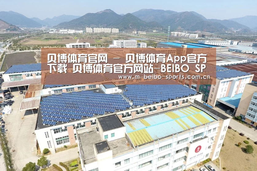 案例展示四