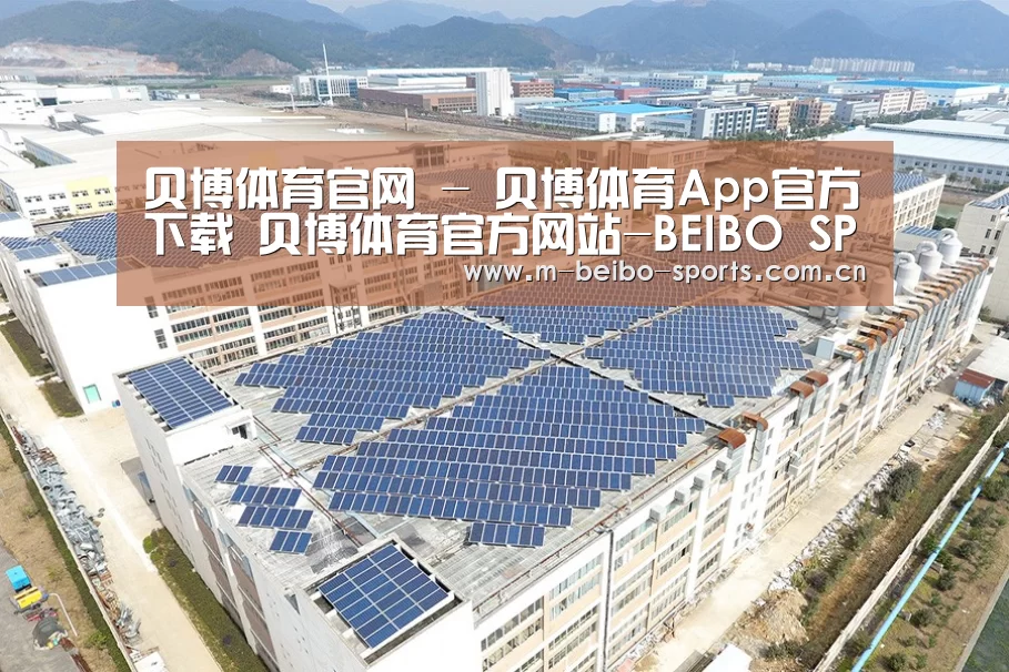 案例展示四