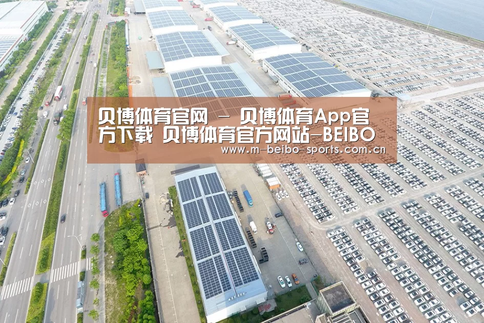 案例展示一