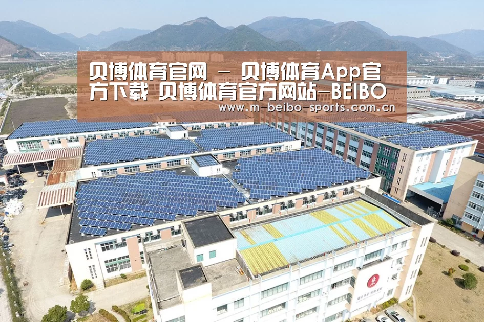 案例展示三
