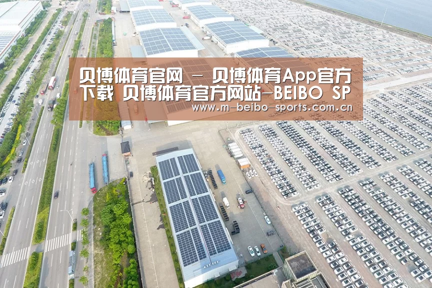 案例展示二