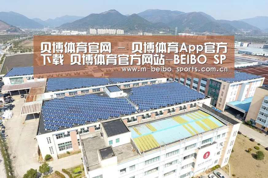 案例展示三